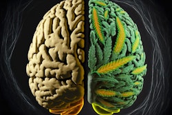 Cannabis Brain