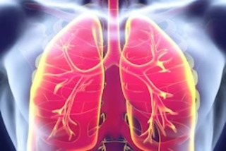 Brainomix 66044da935f2a