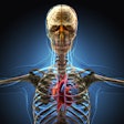 Human Body Xray