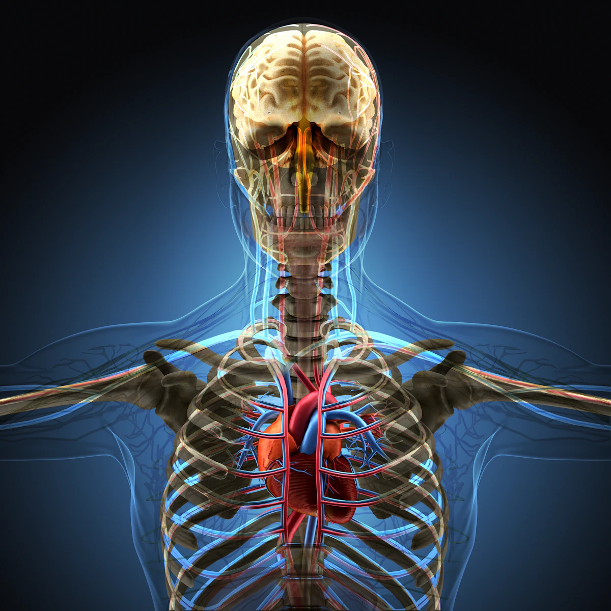 Is X-Ray Technology Still Alive?