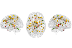 2024 05 06 Image Ehrler Thumbnail