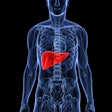 Liver