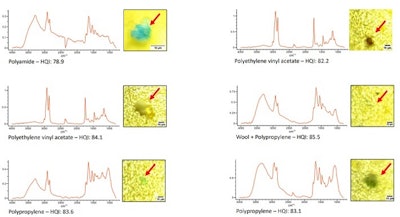 Microphotographs and µFTIR spectra of the microplastics found in the olfactory bulb.