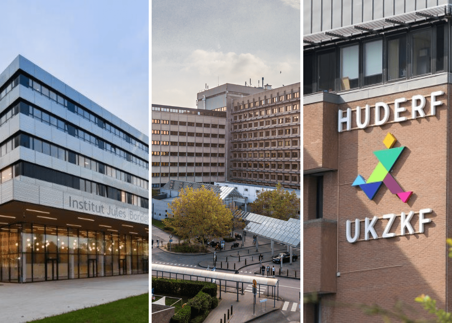 Brussels University Hospital (HUB) includes the Erasmus Hospital, the Jules Bordet Institute, and the Queen Fabiola University Children's Hospital. Photo courtesy of the HUB.