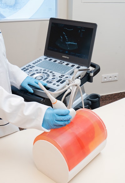 The Center for Diagnostics and Telemedicine of the Moscow Healthcare Department is highlighting a fetal phantom that aims to help sonographers-in-training. Image courtesy of the Center for Diagnostics and Telemedicine of the Moscow Health Department.