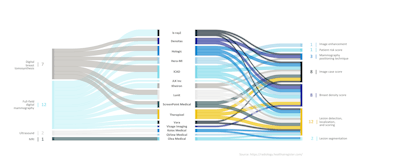 Figure 2. Companies offering CE-certified AI products for breast radiology. On the left, the modalities for which the companies provide a product are shown. On the right, the functionalities they offer are listed. Some functionalities are combined into a single product offering. Figure was created by Marta Pinto, PhD.