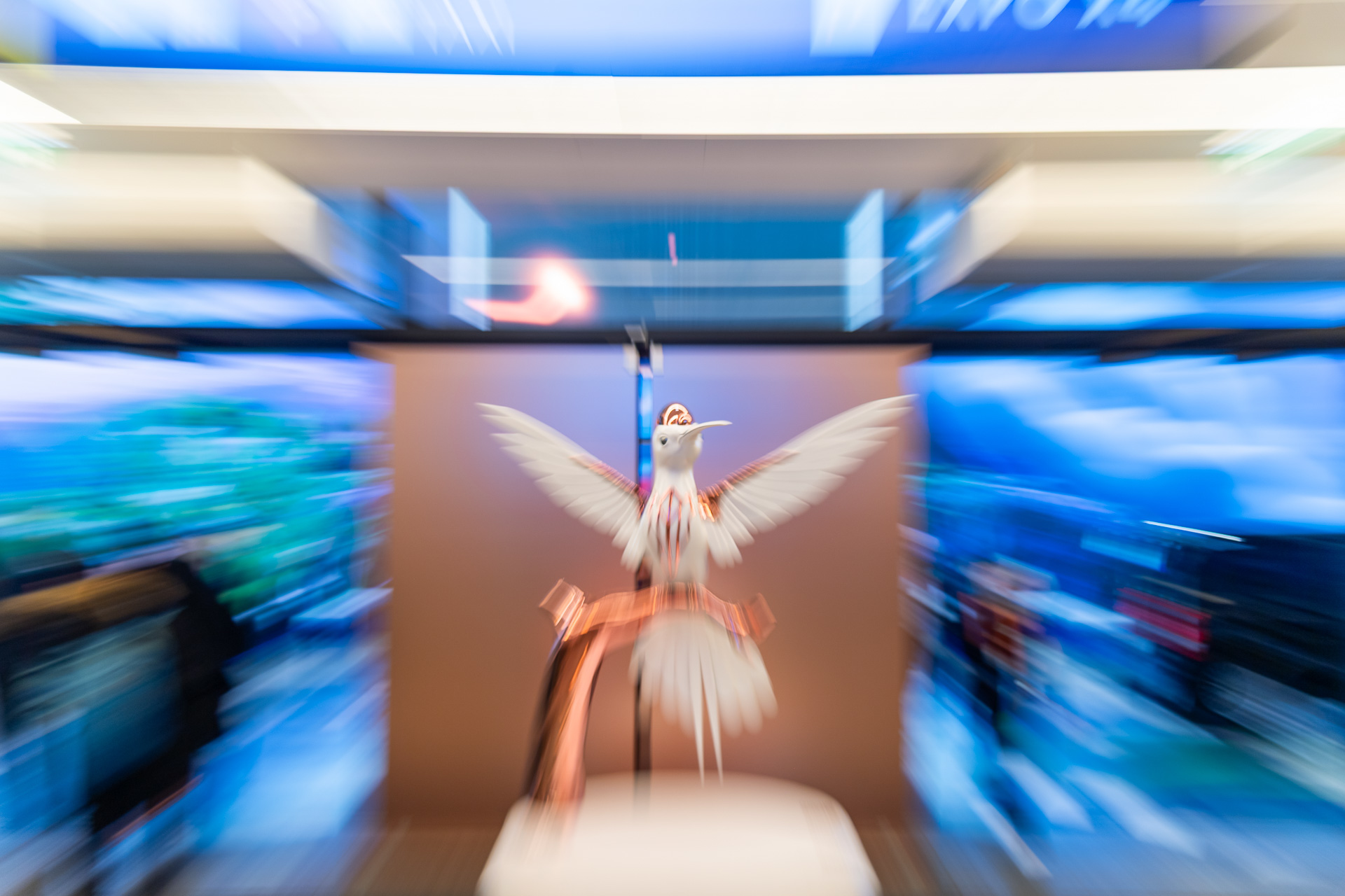 Sunday Ecr 6&copy;s Lkphoto at Kreuzberger Sebastian 0762