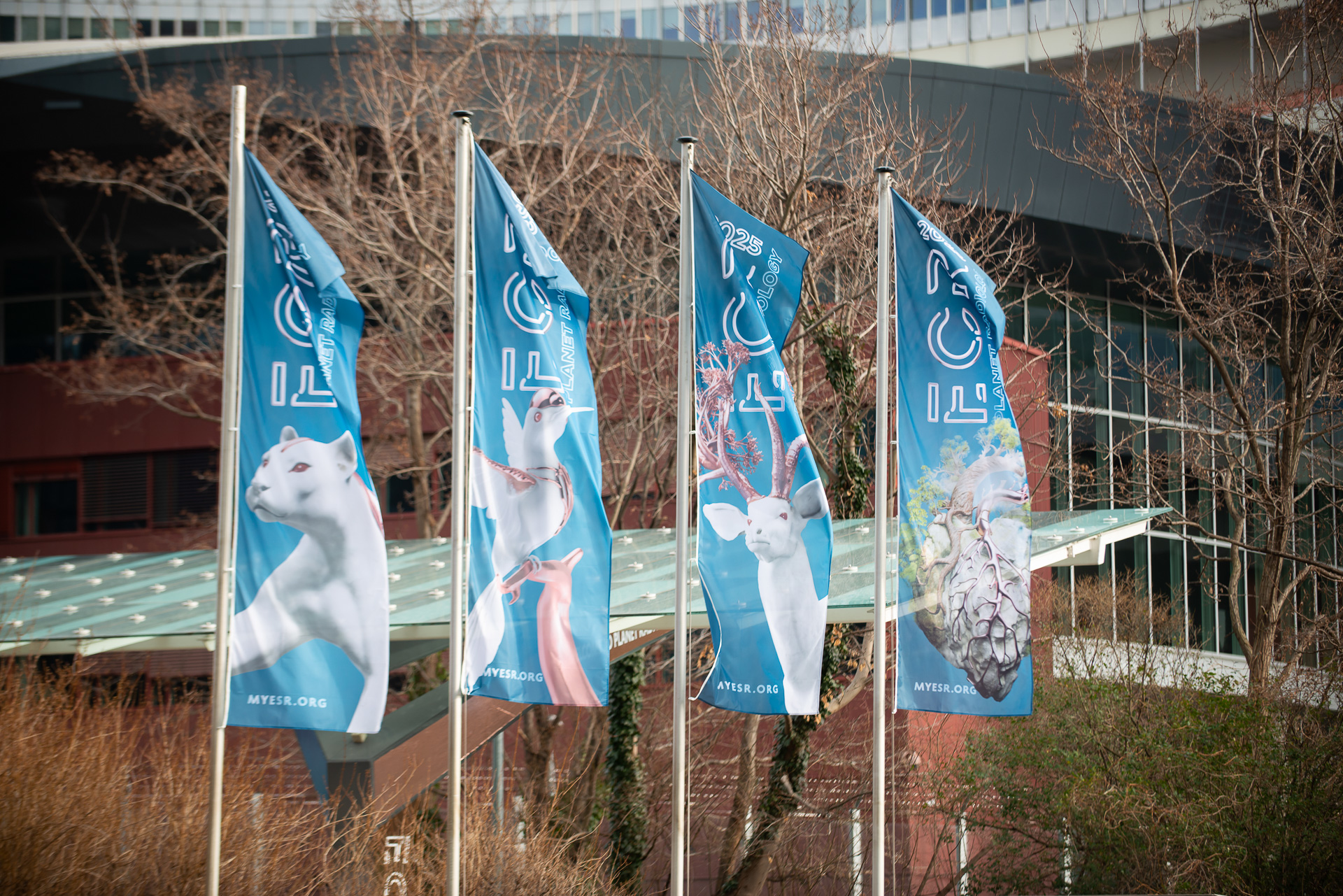 Thumb For Ecr 2025 Attendance Figs