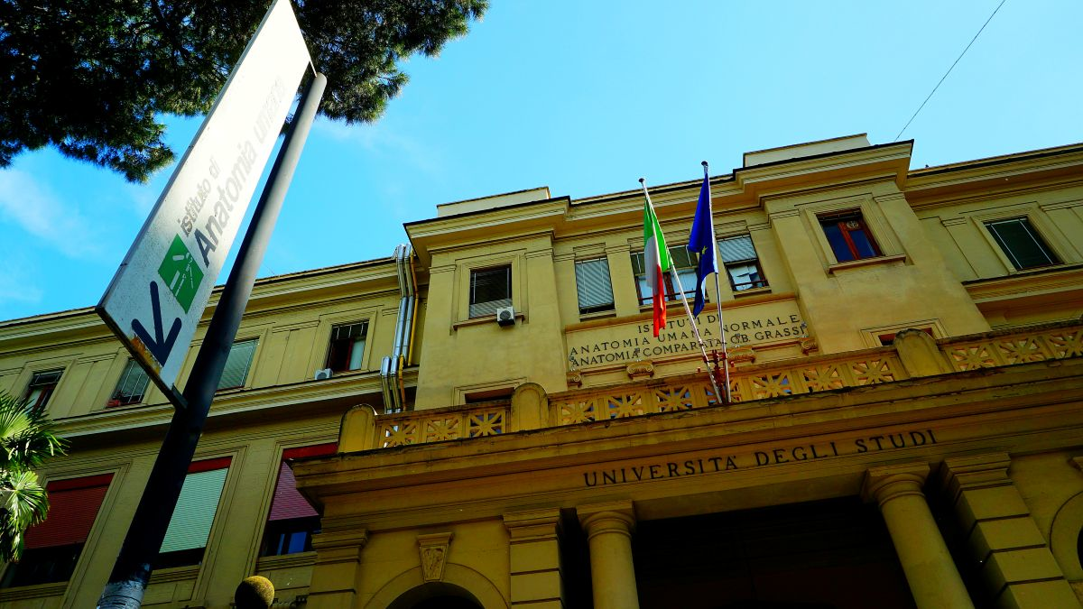 Founded in 1303, La Sapienza is one of the world's oldest universities. Human and clinical anatomy is one of its specialist areas.