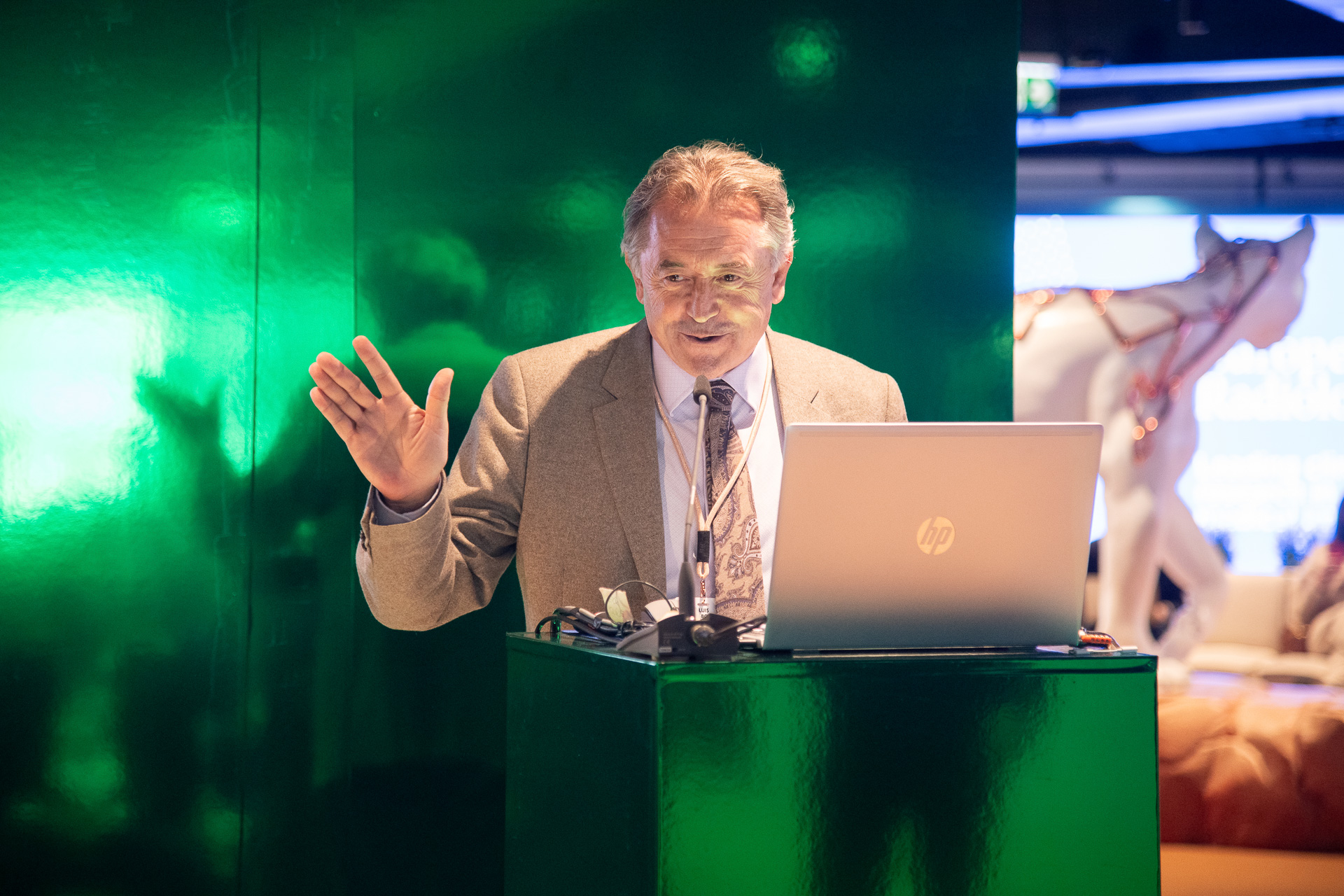 Prof. Luis Mart&iacute;-Bonmat&iacute;. Image courtesy of ESR and Sebastian Kreuzberger.