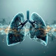 Human Lungs Abstract