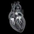 Heart Valves 3 D Base Thumbnail