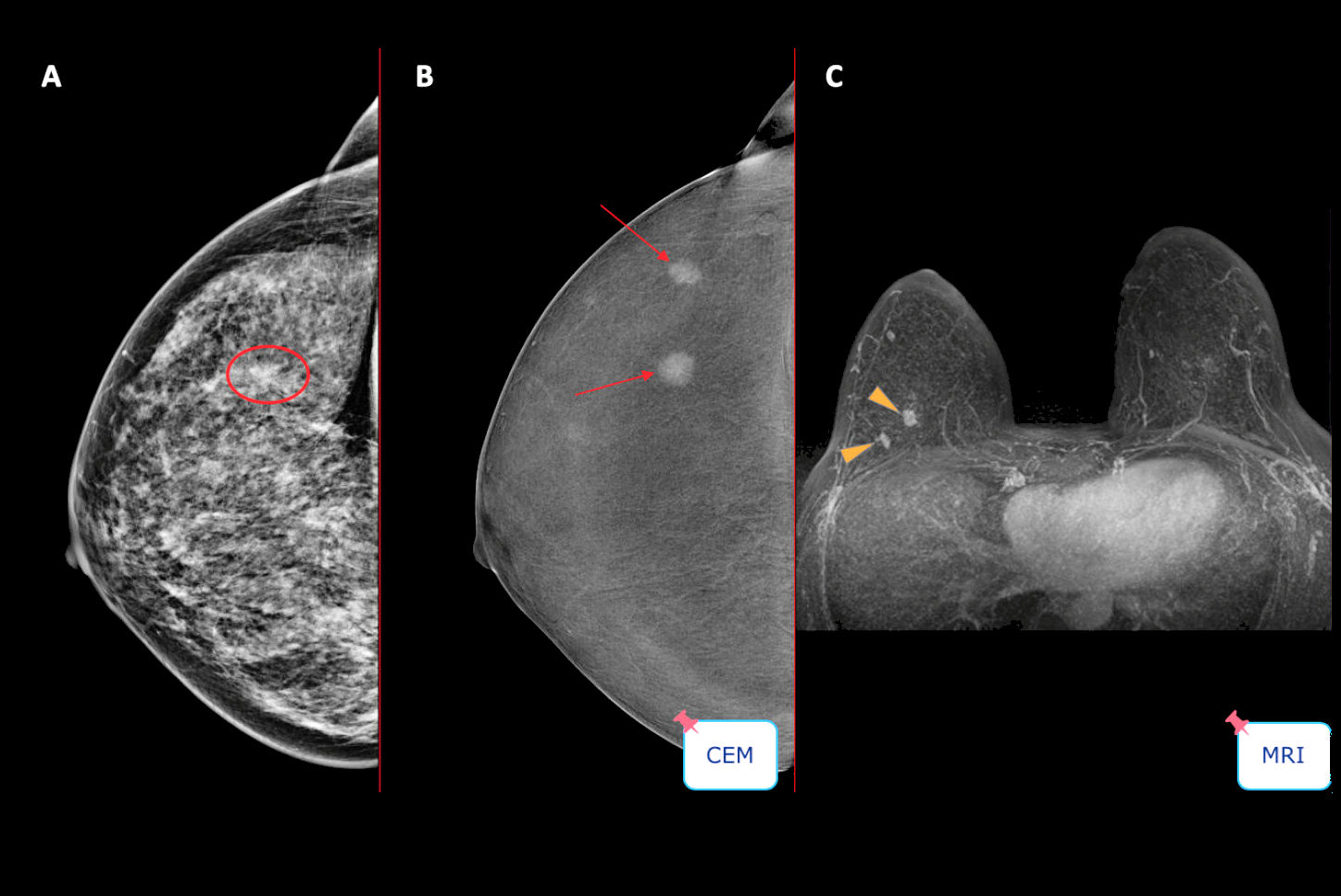 2025 05 08 Womens Insider Fig 1 Brightened Thumbnail