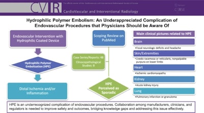 Flowchart explaining HPE in endovascular procedures.