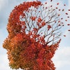Brain Dementia Leaves Social (1)