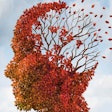 Brain Dementia Leaves Social (1)