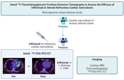 A graphical abstract of the study.