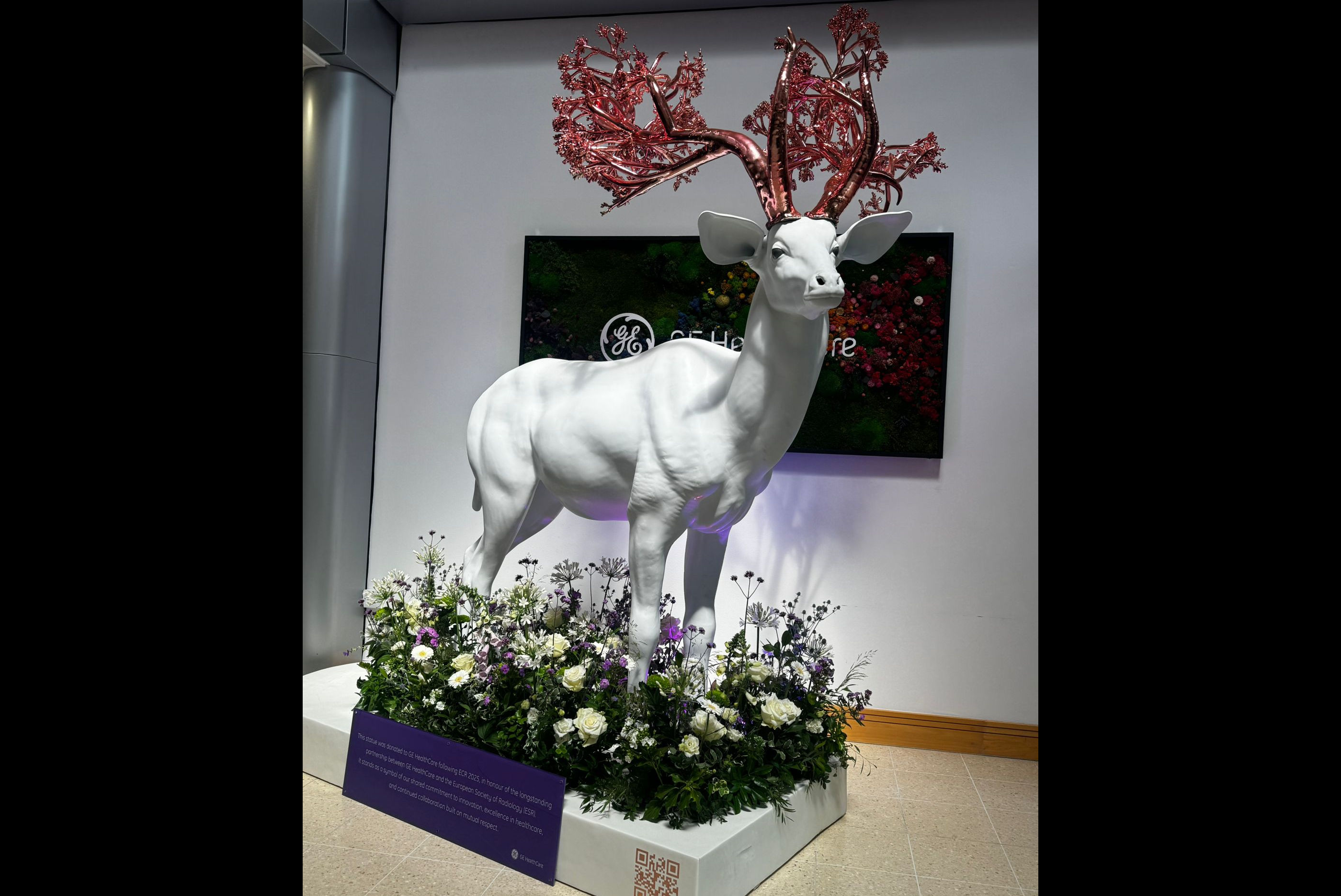 2025 07 09 Esr Kudu Photo Thumbnail