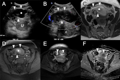 2025 08 02 Ejr Ahluwalia Figure10