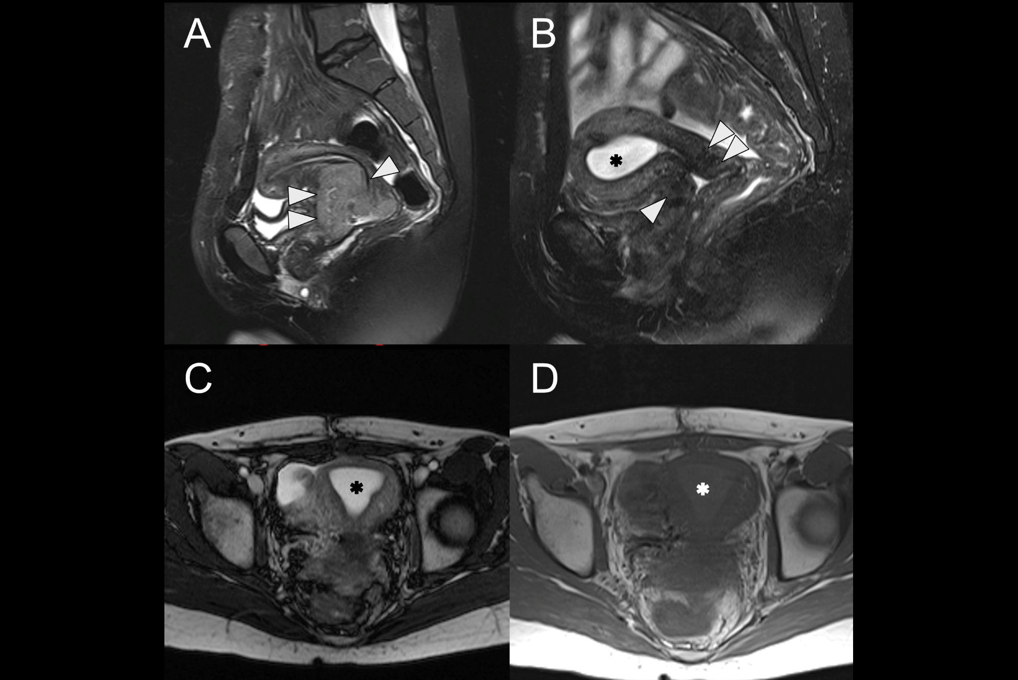 2025 08 02 Ejr Ahluwalia Figure8 Thumbnail