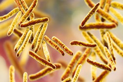 Bacteria Mycobacterium Tuberculosis 400