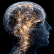 Mri Scan Head Neural Network Adobe Neo
