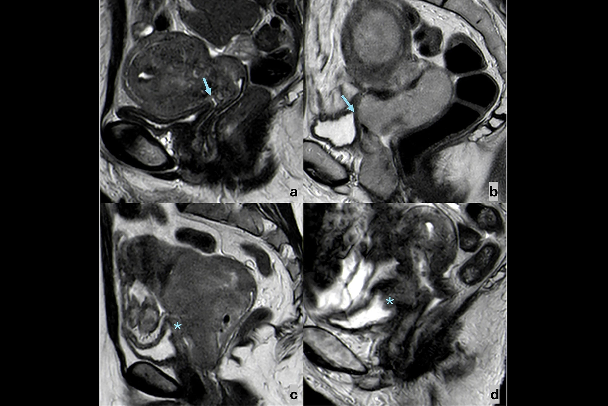 2025 10 06 Fig1 Thumbnail