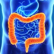 Colon Intestine 400