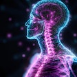 Glowing Neon Skeleton Nervous System Adobe Yuliia
