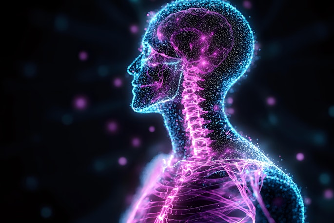 Glowing Neon Skeleton Nervous System Adobe Yuliia