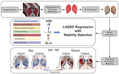 A flow chart of the study.