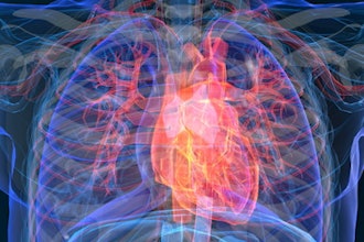 Heart Attack Disease 3 D 400