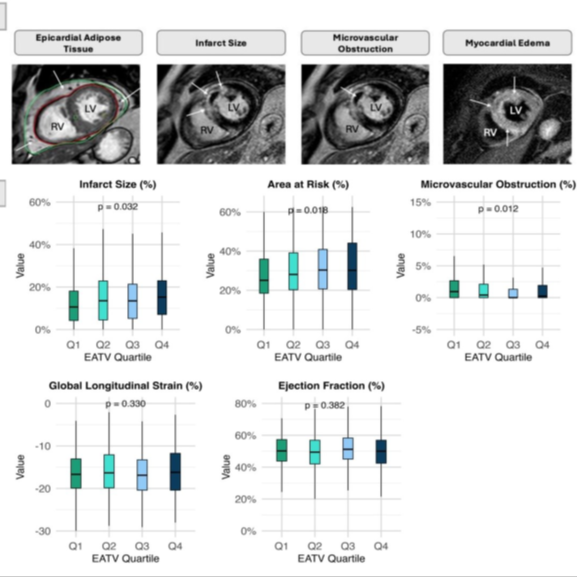 Cardiac MRI analysis can provide useful information on epicardial adipose tissue, infarct size, microvascular obstruction, and myocardial edema.