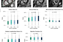 Cardiac MRI analysis can provide useful information on epicardial adipose tissue, infarct size, microvascular obstruction, and myocardial edema.