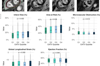 Cardiac MRI analysis can provide useful information on epicardial adipose tissue, infarct size, microvascular obstruction, and myocardial edema.