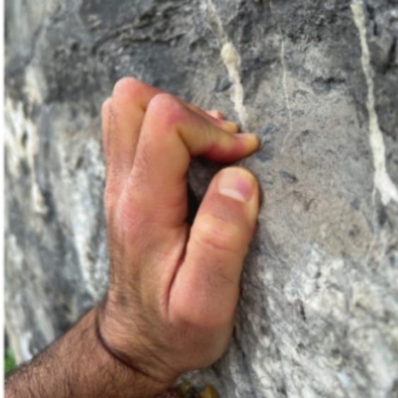 2026 02 25 Fig3 Thumb