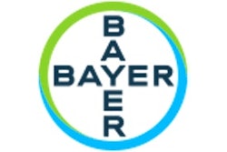 Bayer
