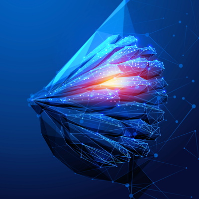 Breast Cancer 3 D 400