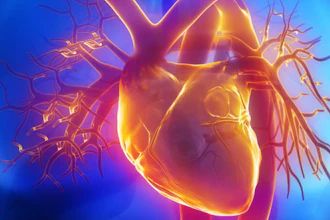 Heart Pulmonary Trunk Social