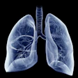 Lung Illustration Blue