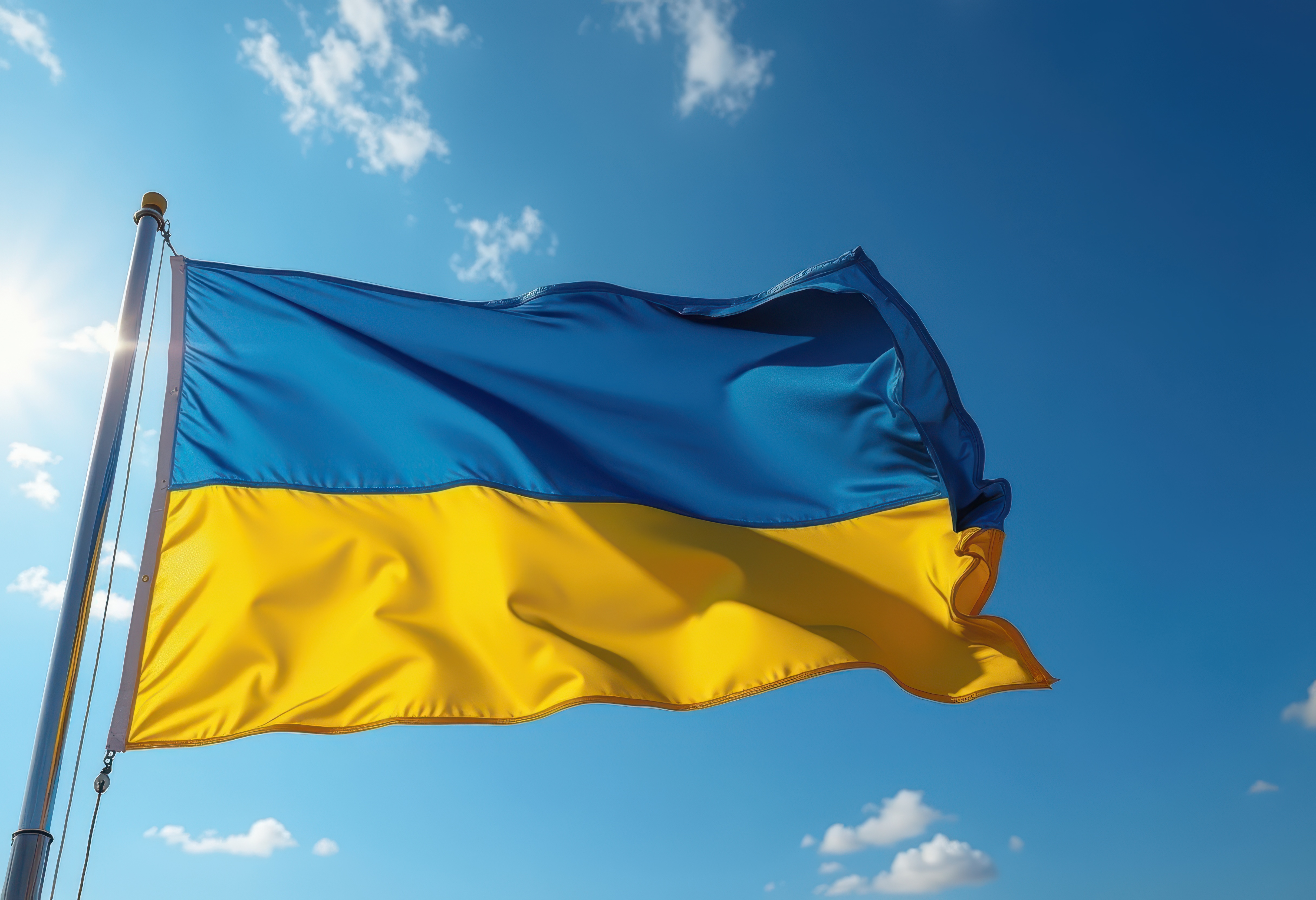 Ukrainian Flag