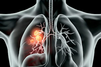 Lungs
