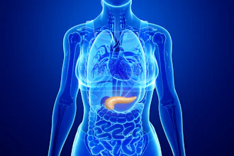 Pancreas New