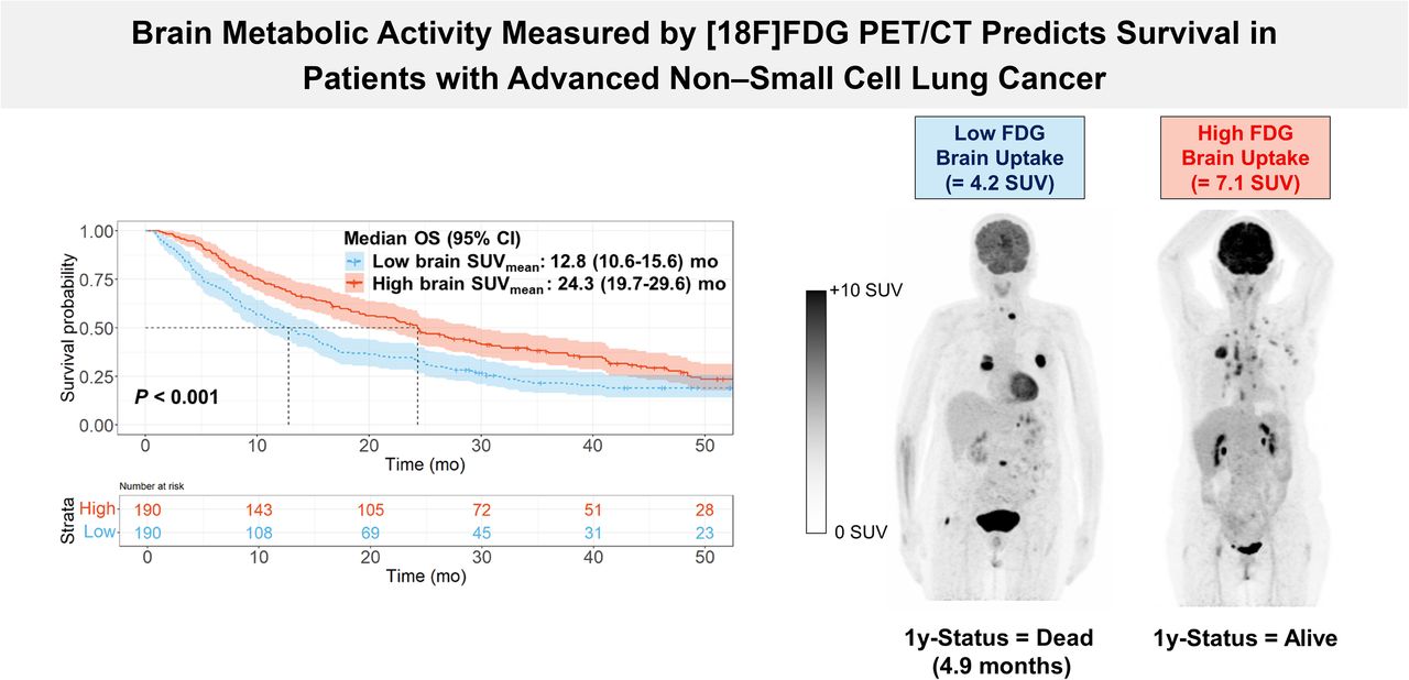 A visual abstract of the study