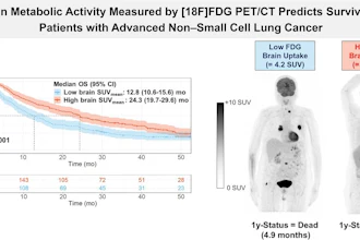 A visual abstract of the study