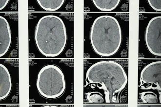 Pexels Cottonbro 5723875