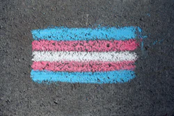 Pexels Katierainbow 8275181