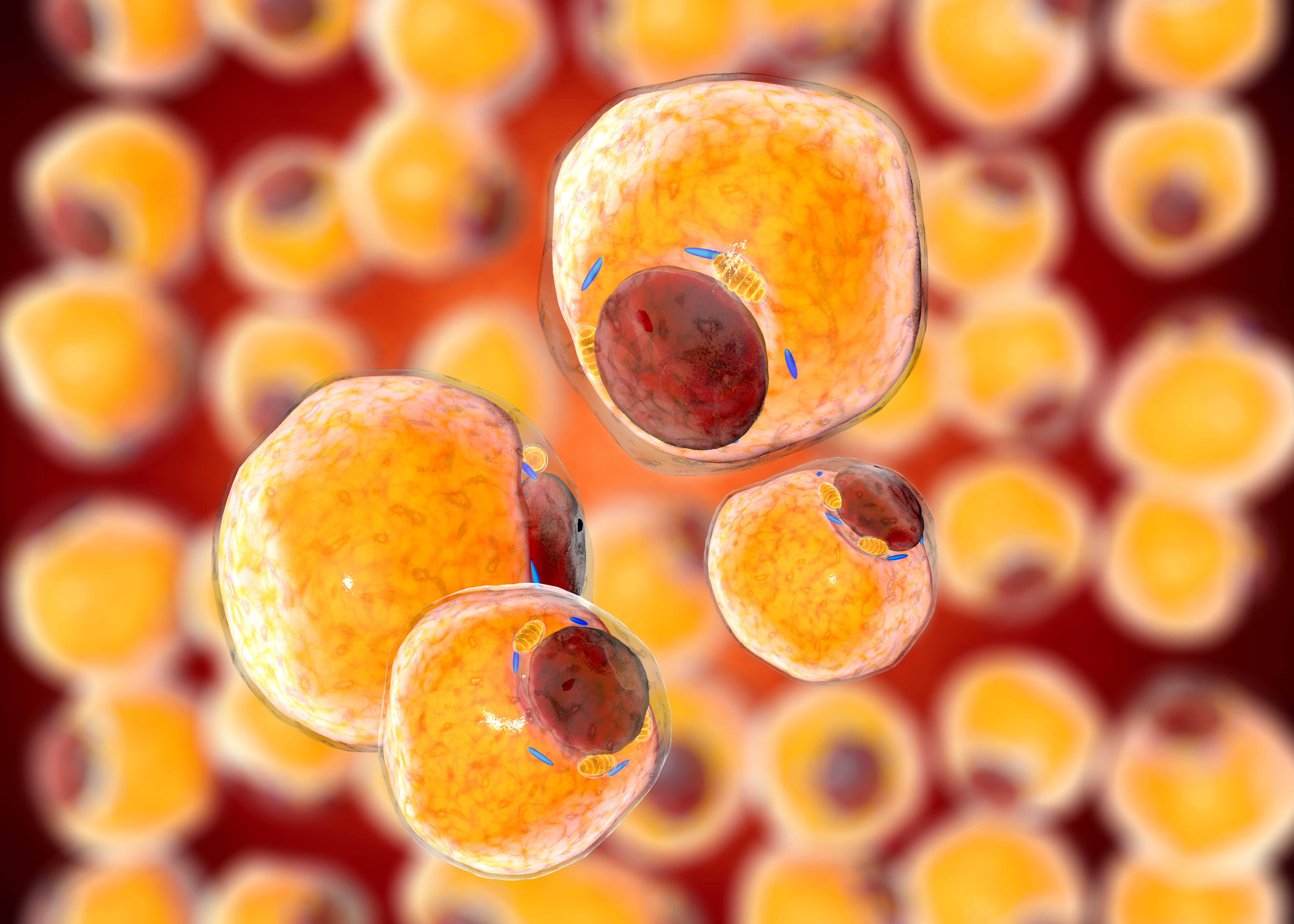 Fat Tissue