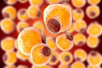 Fat Tissue