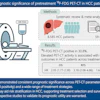 A graphical abstract of the study.